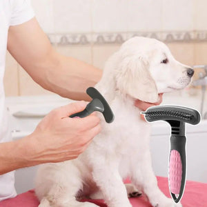 Grooming