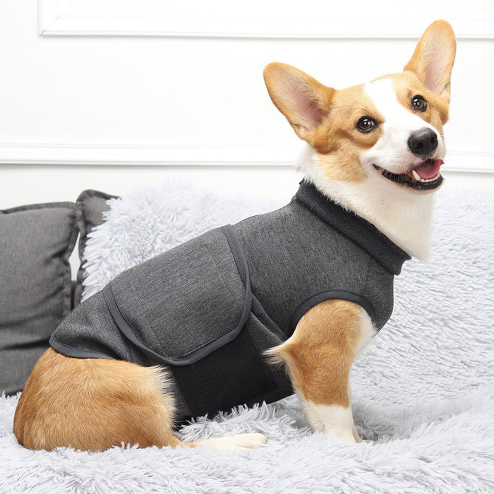 Double-Layer Pet Winter Jacket