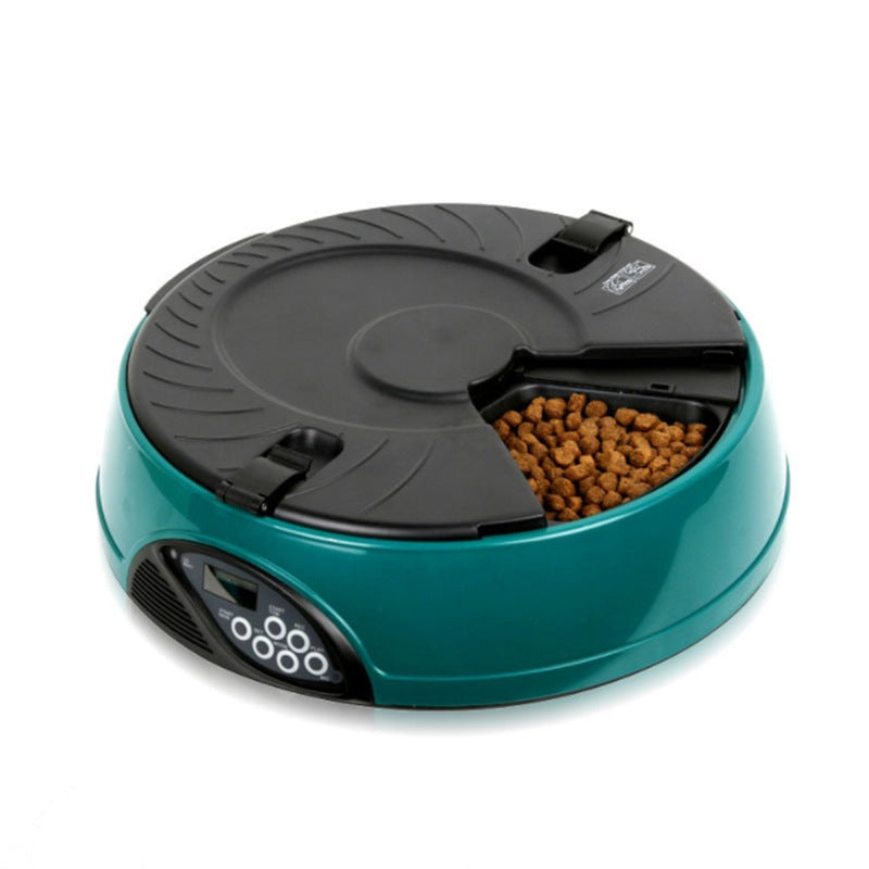 6-Meal Automatic Pet Feeder with Voice Recorder – green
