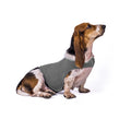 8435c689538b42d1b70c31d8ad049356