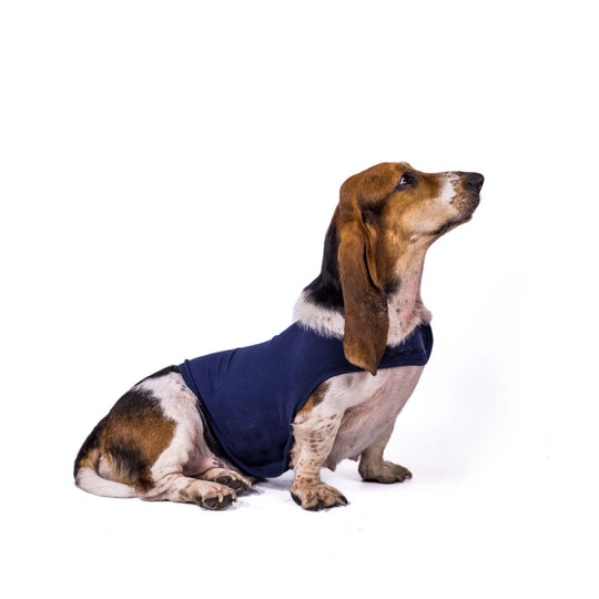 Calming Dog Coat – Navy Blue