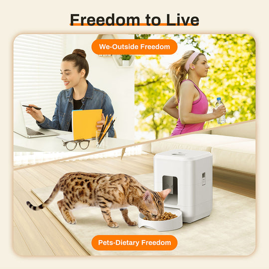 2L Automatic Pet Feeder – Button, Wi-Fi or Camera – view 2