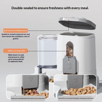 Pet Automatic Feeding Machine