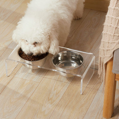 Acrylic Dogs & Cats Pet Feeder — Small Cat Dog Feeding Rack