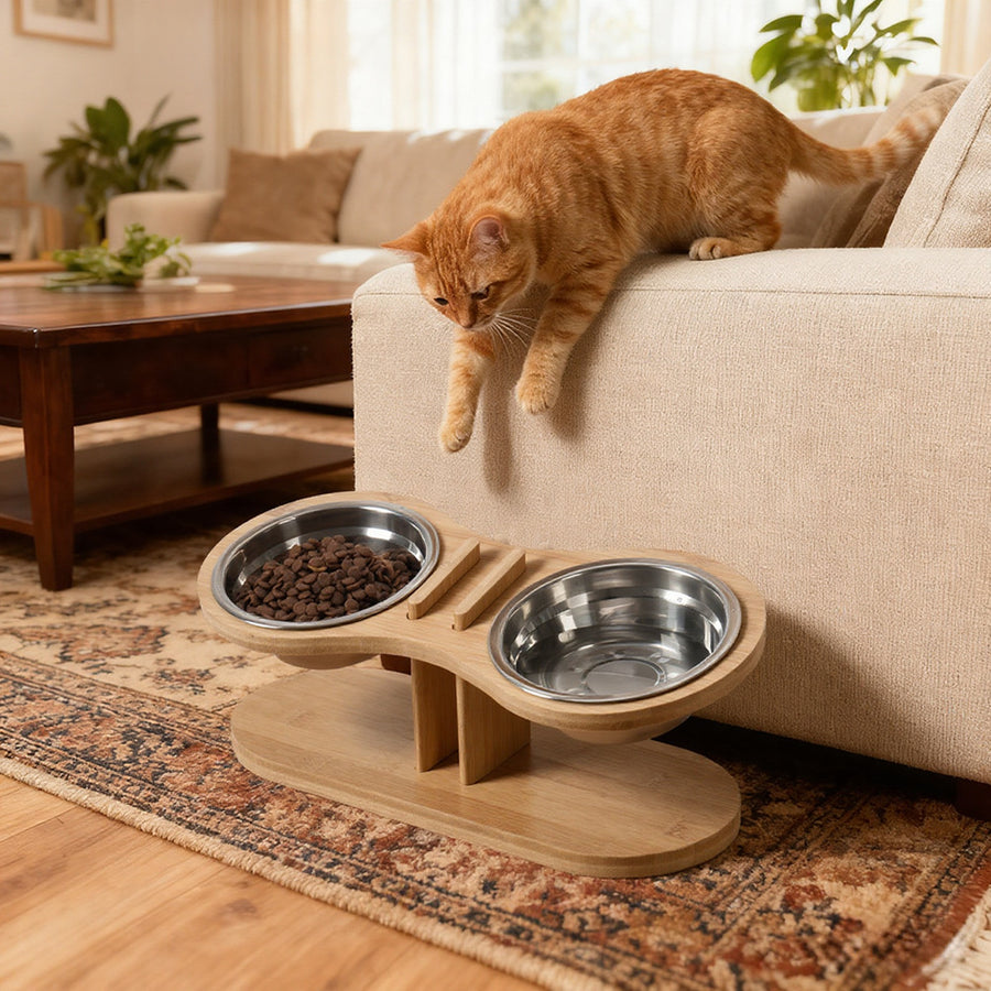 Adjustable Tilted Pet Feeding Stand for Comfortable Meals
