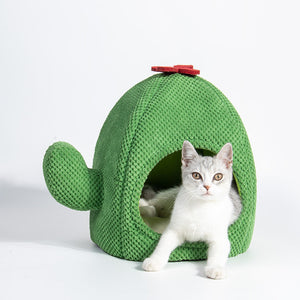 Pet Comfort