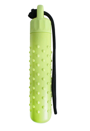 Water Training Dog Toy – Green